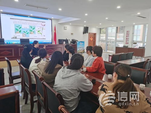 网络技术服务 赋能未来生活的核心引擎